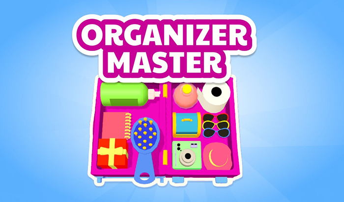 Play Organizer master Online