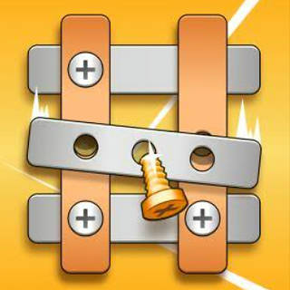 Nut & Bolt Pin Puzzle Game